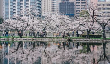 Ueno Cherry Blossom Festival