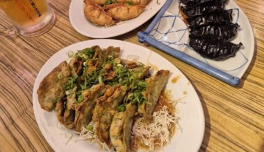Gyoza & karaage - Kakekomi Gyoza, Shinjuku