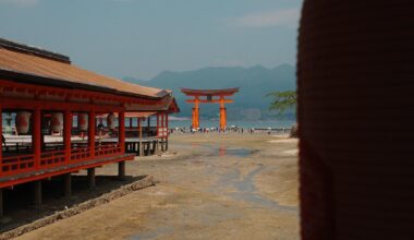 18 pics from 18 days (summer 2025)