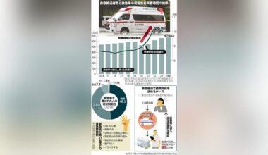 What do you think about charging for ambulances?