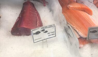 salmon