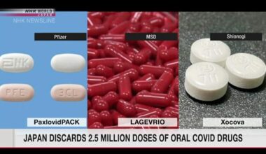 Japan govt. disposes of expired oral coronavirus drugs for 2.5 million people