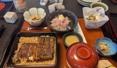 Famous unagi-don in Narita the town, not the airport