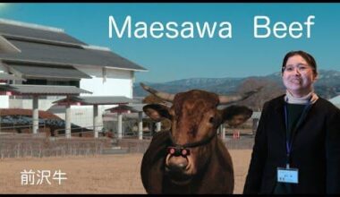 Made a video about a local Wagyu museum.