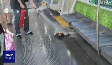 Yamanote Line delayed after smartphone battery catches fire; woman in her 30s who suffered burns to her hand
