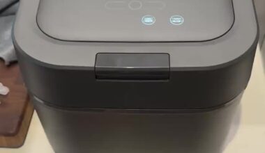 Yum Asia Hotaru Rice cooker - buzzing sound?