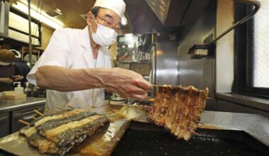 On Day of Ox, People Eat Grilled Eel to Beat Summer Heat; Higher Rice, Fuel Prices Counteract Lower Eel Prices