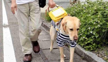 Tokushima’s Assistant Dog Users Share Stories of Rejection in Call for Change; Public Understanding Still Lacking