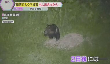 Woman injured after being attacked by bear at home in Gojo, Nara Prefecture; incidents on the rise nationwide; if you encounter one, "don't panic, back away slowly"