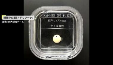 Possible substitute for fentanyl, an opioid whose overdose is a social problem? Kyoto University develops a new analgesic drug... Addiction and serious side effects have not been observed.
