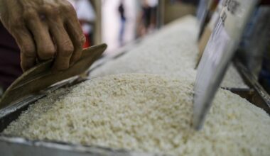 Top rice importer Philippines may halt purchases to help farmers