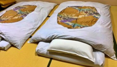 Teacher forces students to sleep in "bug-ridden room"; school apologizes