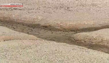 Japan's agriculture minister vows to tackle drought impact on rice crop