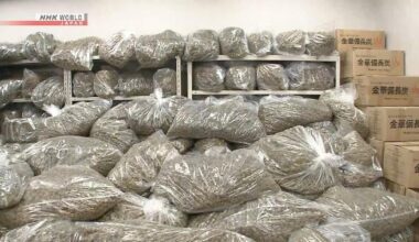 Japan confiscates 1 ton of dried cannabis from Vietnam at Tokyo Port