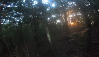 night time trail adventure