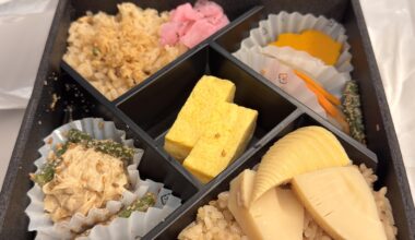 Some random bento I picked up at Kyoto station