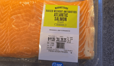 Never made sushi before, asked my brother to grab some sushi-grade salmon and he got this. Is it safe?