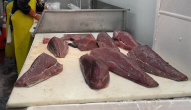 Advice on selecting the best tuna loin?
