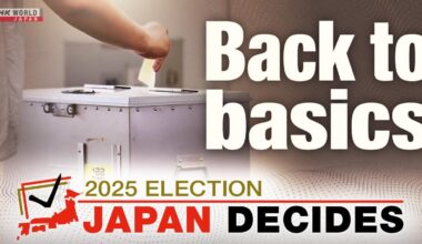 How Japan's Upper House election works