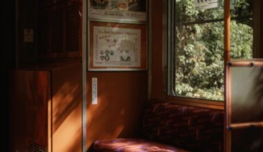 Caught this train basking in the afternoon glow