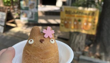 Shirohige’s strawberry cream puff !