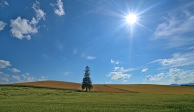 *Not Quite* The Microsoft Wallpaper. The many rolling fields of Biei, Hokkaido