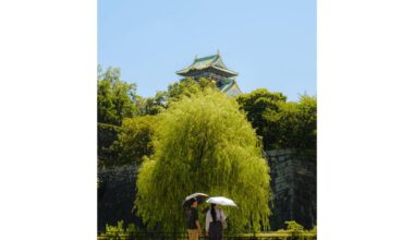大阪城 🏯