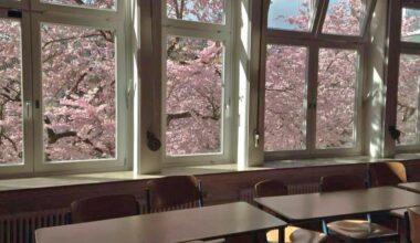 Japanese school classroom in spring, featuring cherry blossoms