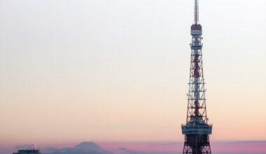 Mt. Fuji and Tokyo Tower [OC]