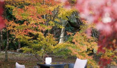 Take a seat in Kyoto