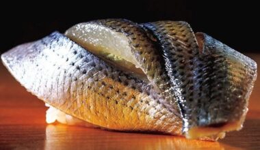 sushi with that metallic ...