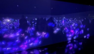 Team Labs Borderless