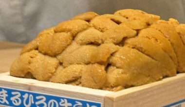 Massive beautiful blob of uni from Sushi Ajuuta (Shibuya, Tokyo, Japan)