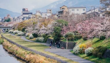 Spring streets of Kyoto