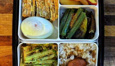 Back in the office after 5 years of remote. New bento box for bringing lunch! 😋