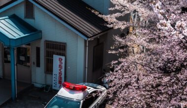A very aesthetic konban in Nara