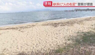 Upper body and right leg found in Hakata Bay