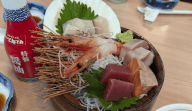 Tonden part of a $15 sashimi set. Tonden is kind of like Denny's (price wise) in the U.S.