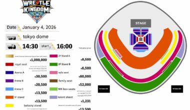 Wrestle Kingdom 20Seating Chart