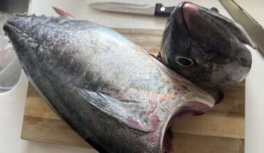 Sashimi grade controversy is stemmed from food culture that influences infra imo.