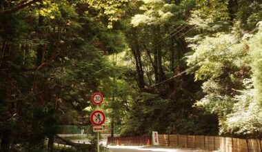 It’s just a little over two months until the autumn leaves season