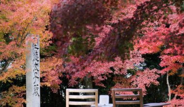Take a seat in Kyoto