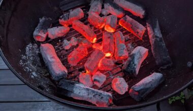 Bincho at the foot of Mt Fuji