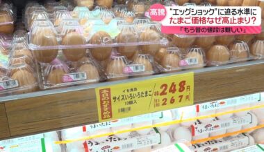 Despite the abundance of eggs, why are egg prices so high? "Egg shock" looms; producers say "it's difficult to keep up with the old prices"