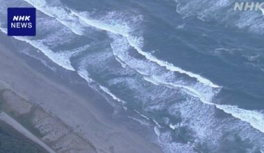 A mother has died after she and her child, both Brazilian nationals, drowned off the coast of Toyohashi, Aichi Prefecture.