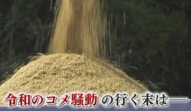 The long-awaited "new rice" is arriving one after another. What is the price? The government's stockpiles of rice under discretionary contracts are piling up as the sales deadline approache