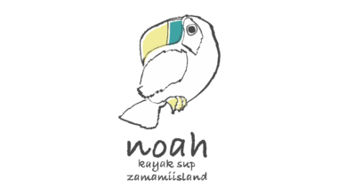 Snorkeling in Zamami Island!