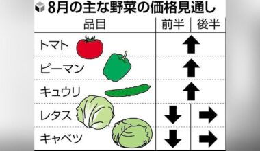 Tomatoes and green peppers prices 20% higher than August average... Poor growth due to extreme heat