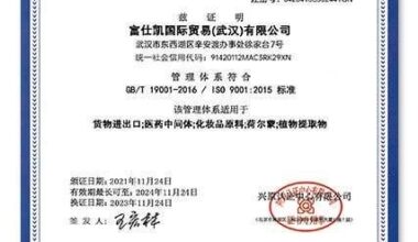 A Chinese Fentanyl Smuggling Network’s Footprints in Japan