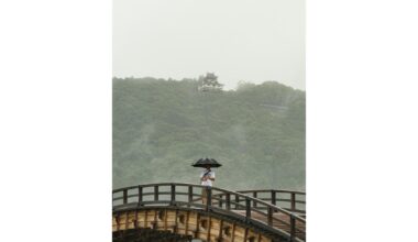 Kintaikyo Bridge and Iwakuni Castle 🏯
